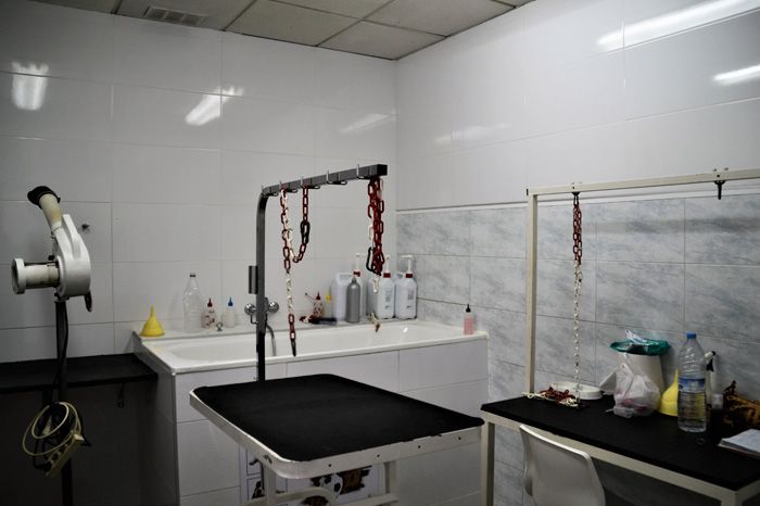 Centre Veterinari La Grípia consultorio veterinario
